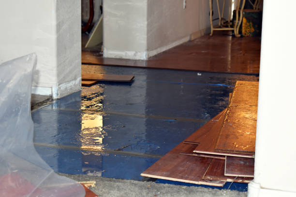 Professional Sewage Cleanup technician working in Roanoke, TX